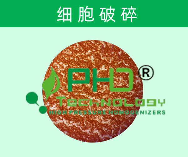 细胞破碎技术