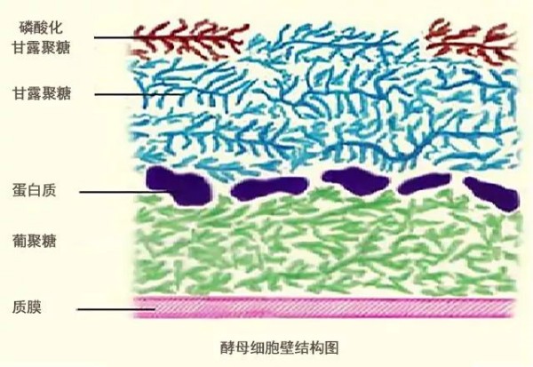 2、应用难点.jpg